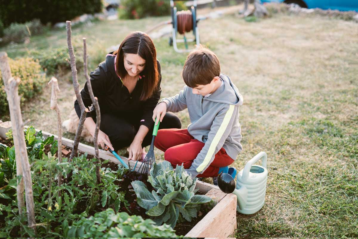 L’estimation de la profondeur d’un potager hors sol