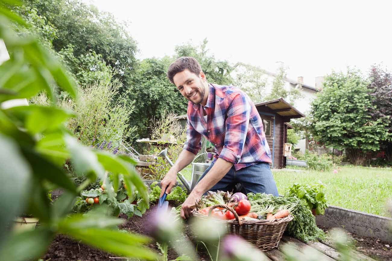 Comment aménager son 1er potager dans son jardin ?