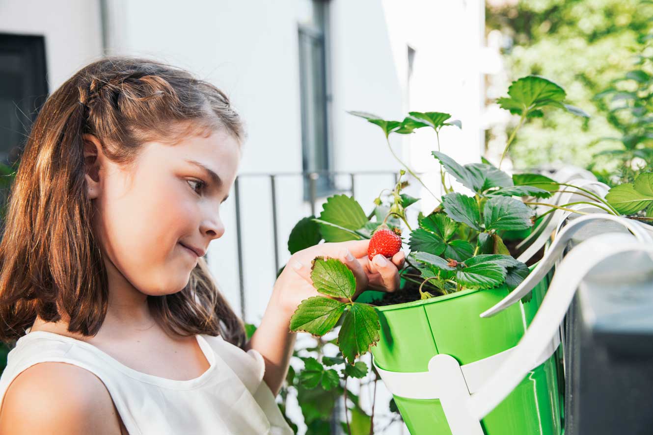 Des fruits et légumes sur mon balcon : lesquels planter ?