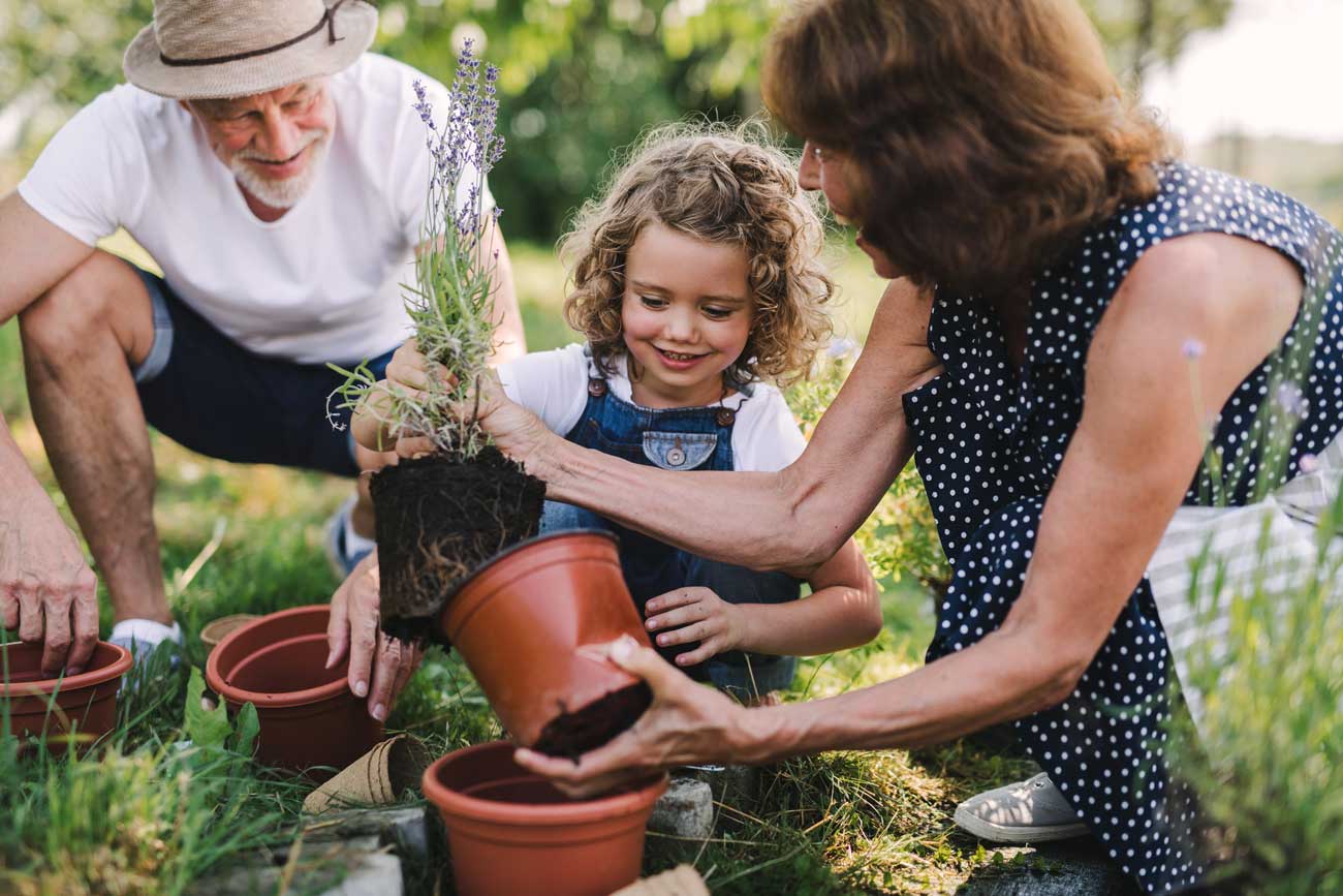 Entretien du jardin au printemps et en été : que faire et quand ?