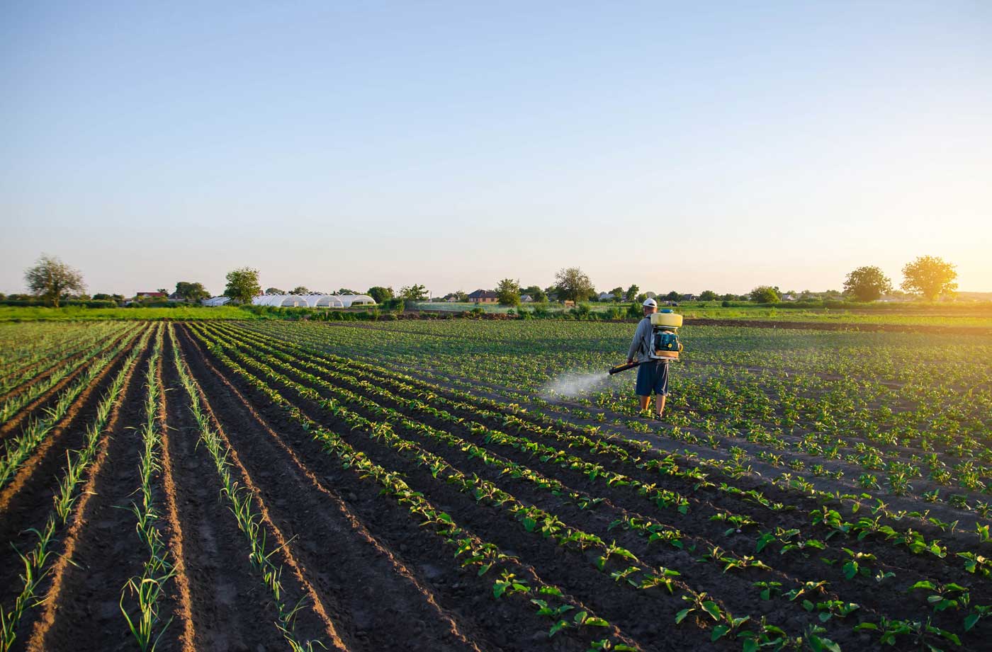 Pesticides : une carte pour connaitre le niveau à côté de votre maison