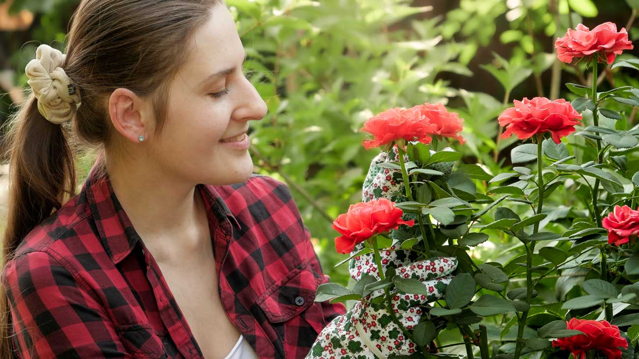 Des roses sur votre balcon : trucs & astuces pour les planter