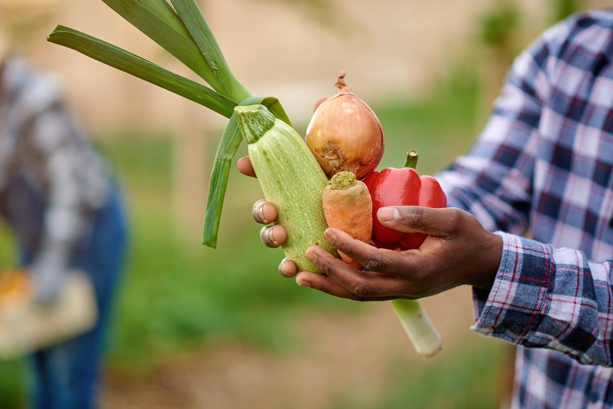 Le Potager D’à Coté : achetez en local vos fruits et légumes