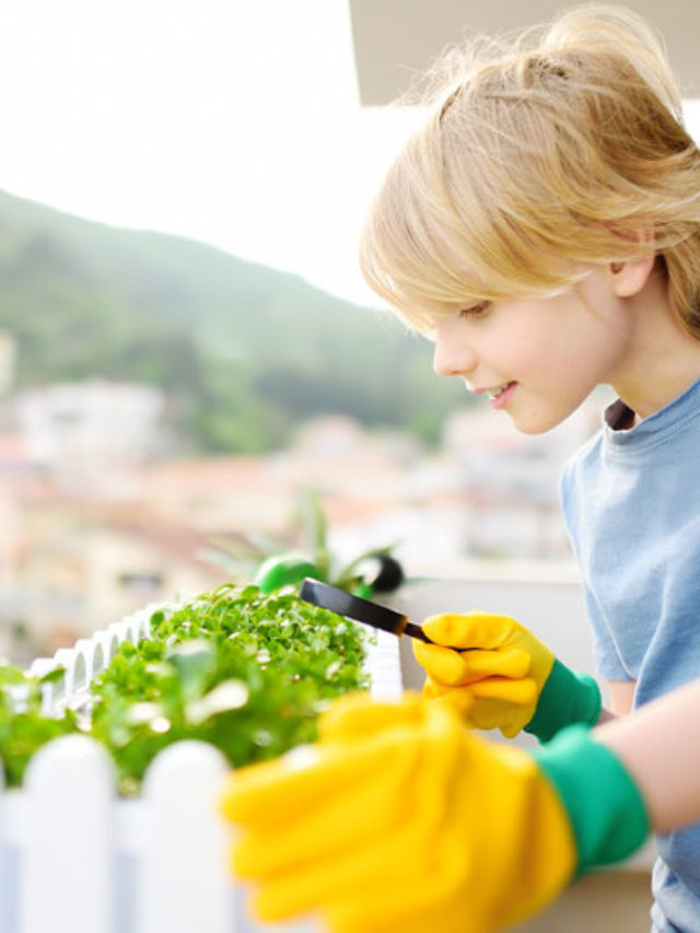 Comment Cr Er Un Potager Dint Rieur Nos Id Es Et Conseils Potager