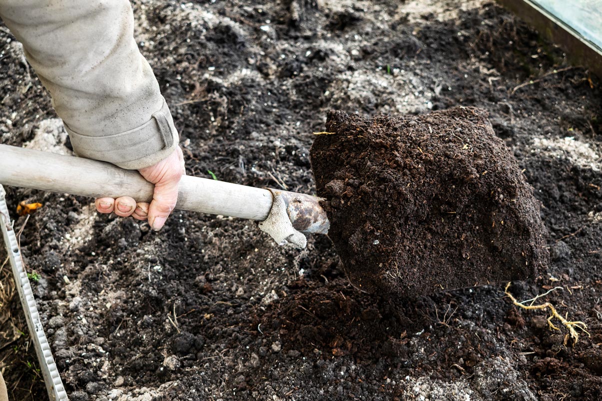 Comment utiliser les cendres de la cheminée dans le potager ?