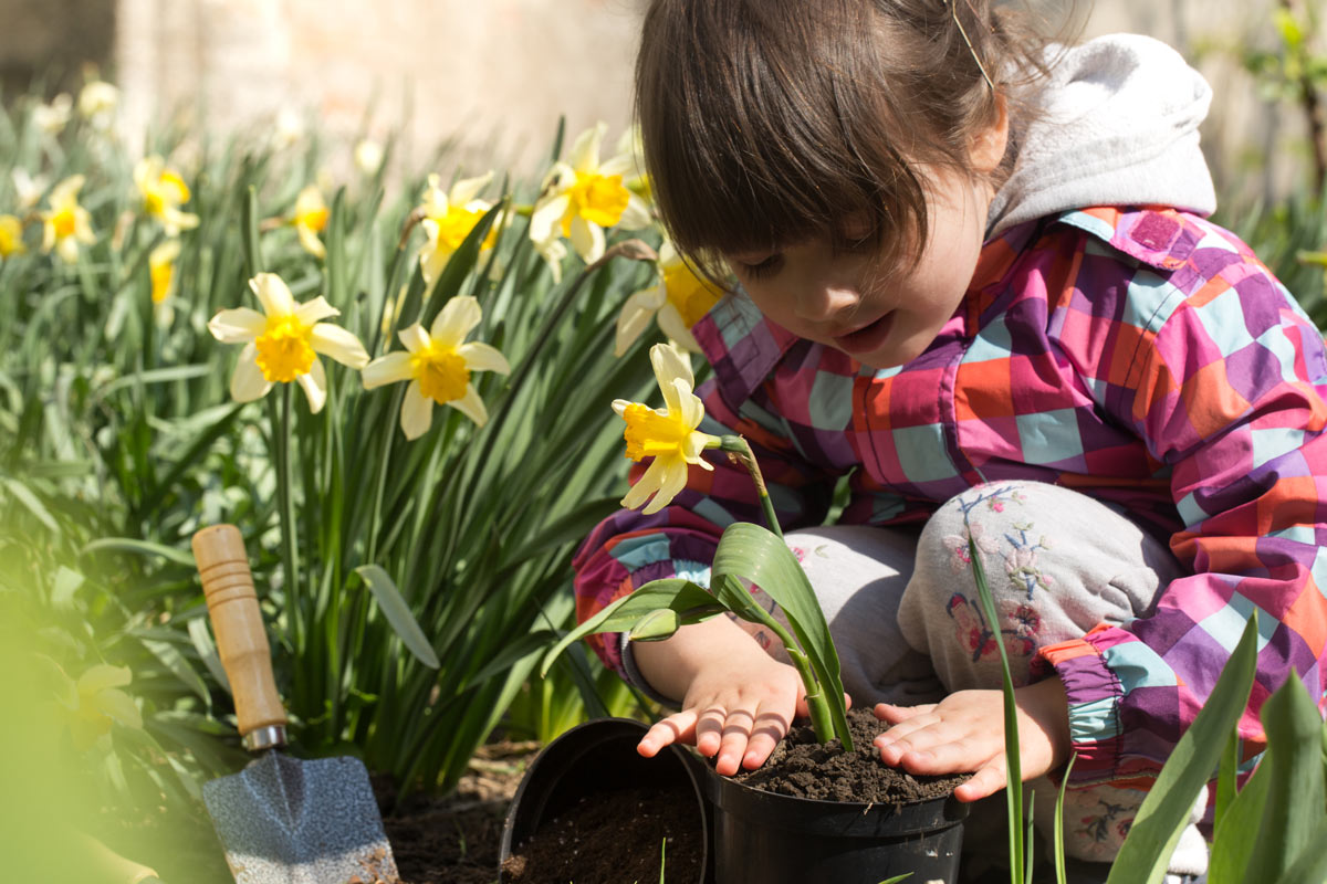 6 activités DIY du potager à faire avec vos enfants pendant les vacances