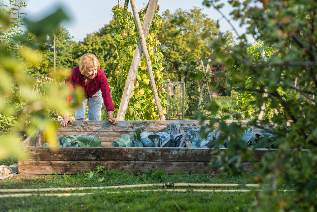 Acheter un carré potager pas cher : les bonnes astuces