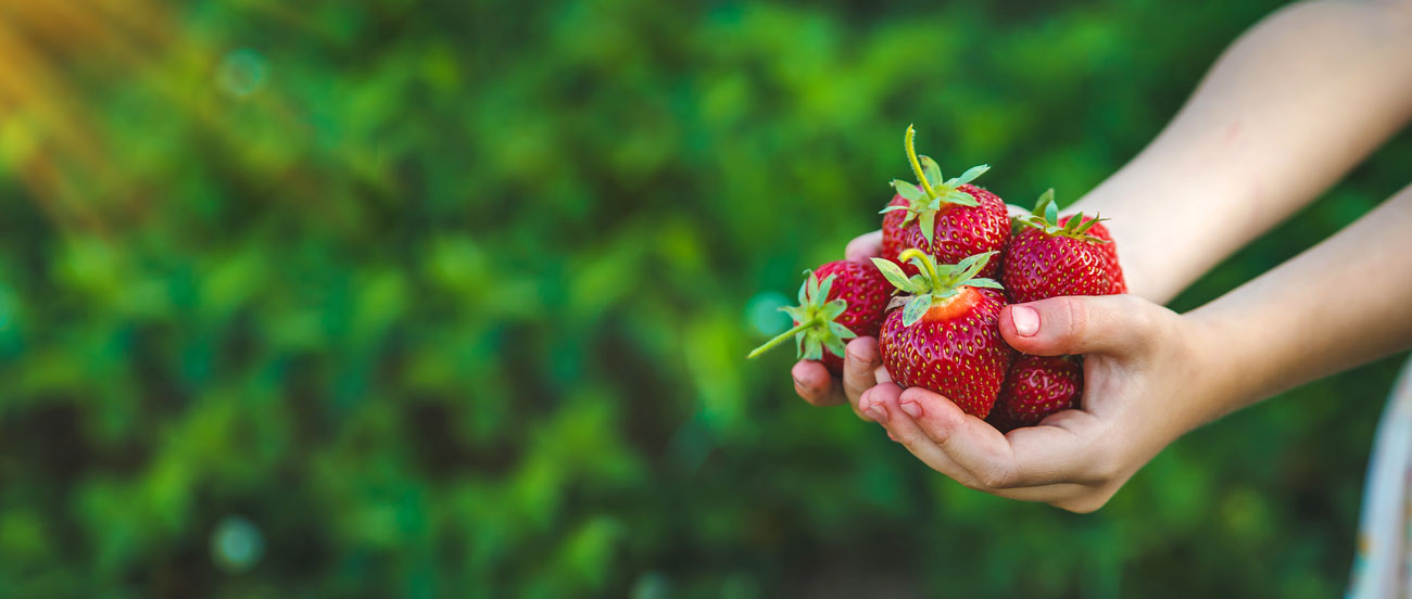 Voici 7 fruits savoureux à planter dans votre jardin en avril