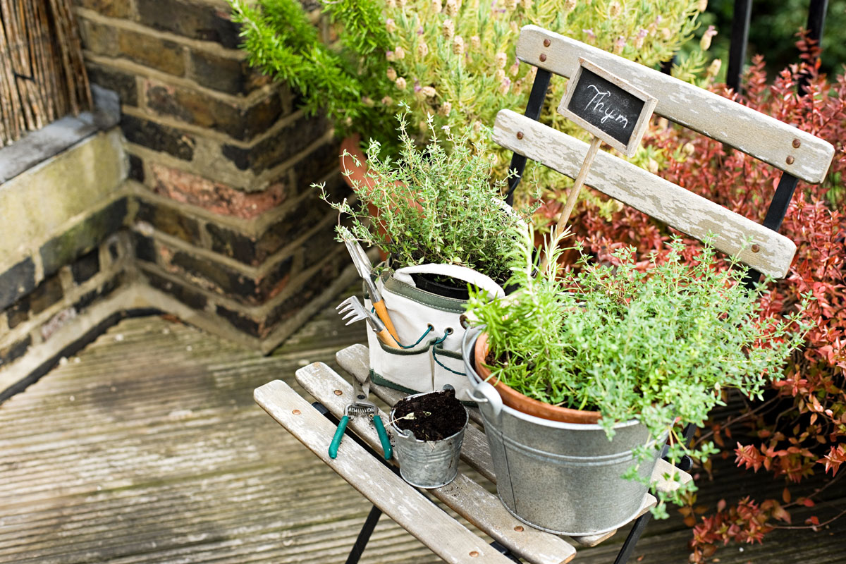 Cultivez vos herbes médicinales sur votre balcon avec nos 5 idées