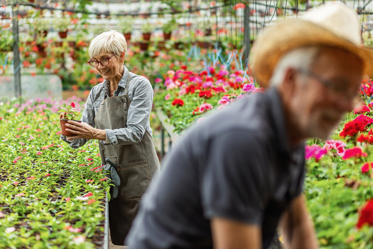 Lundi de Pâques : quelles sont les jardineries ouvertes ?