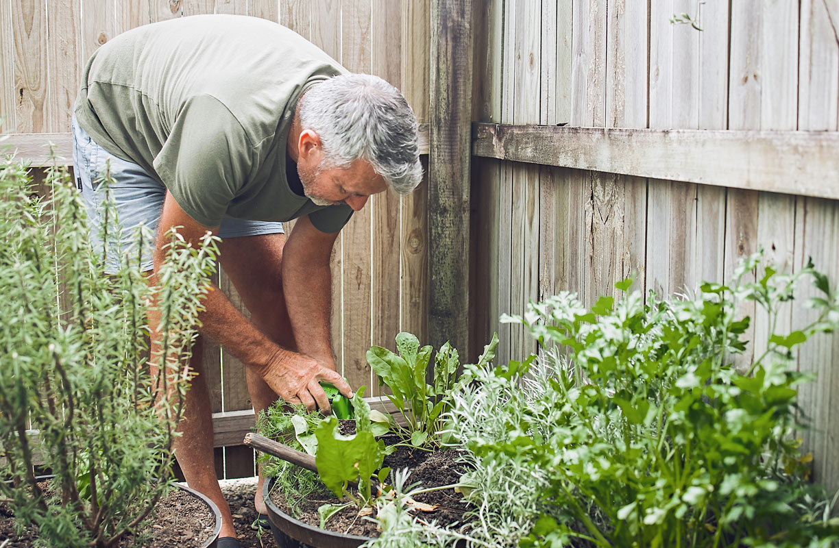 Du romarin dans votre jardin ? Voici tous ses atouts pour votre santé