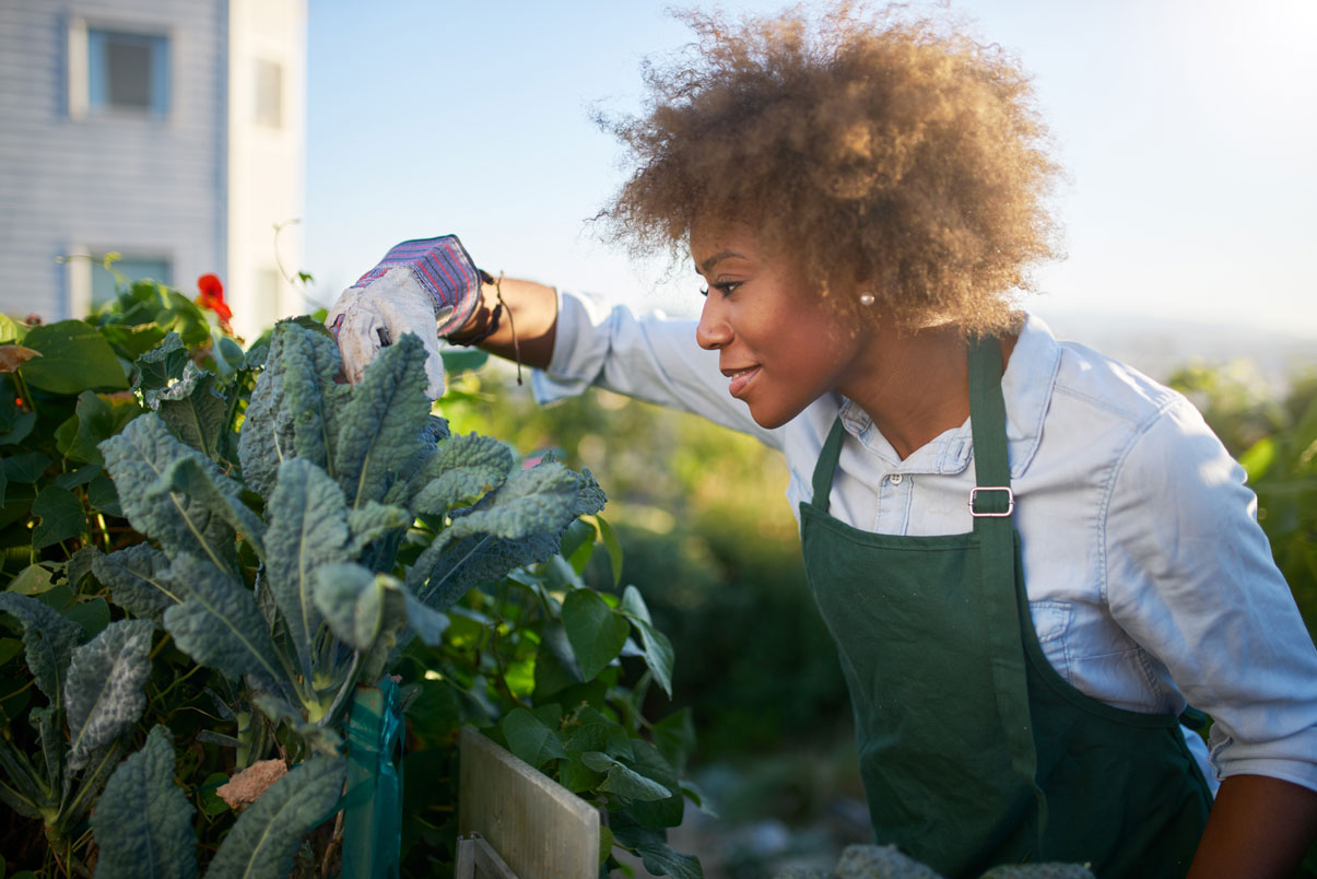 Des légumes-fruits parfaits pour votre balcon : découvrez notre sélection