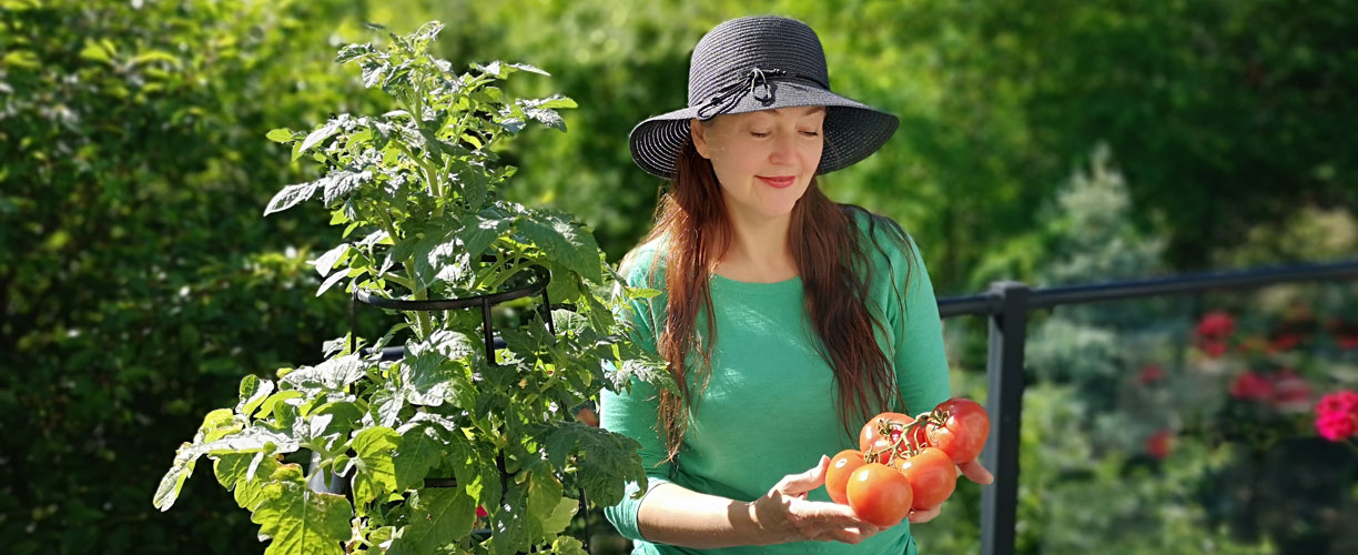 5 légumes à planter dans votre potager sur votre balcon en avril