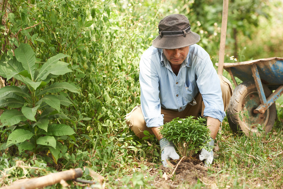 Pont de l’Ascension : que faire au jardin et au potager ?