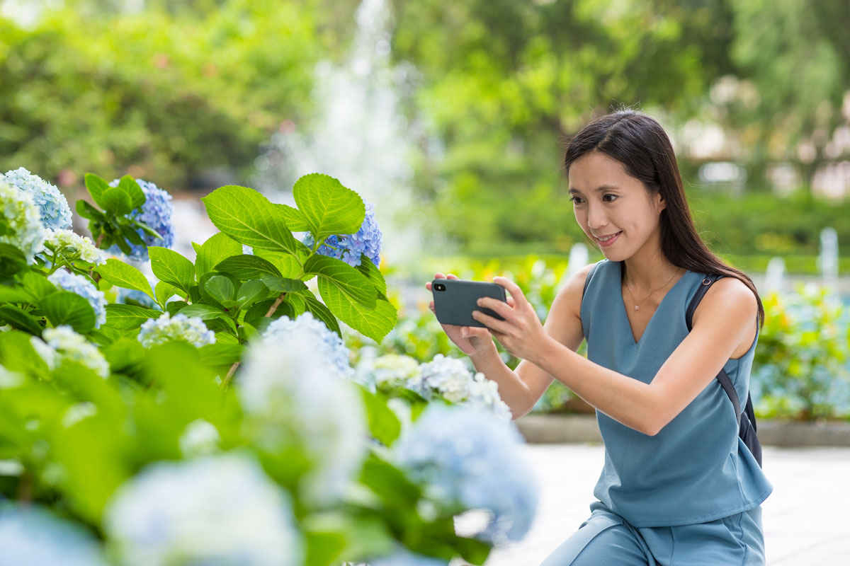 Les 5 meilleures applications de planification de jardin à essayer dès aujourd’hui