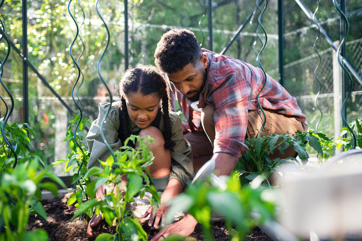 Les travaux à effectuer absolument ce week-end au jardin