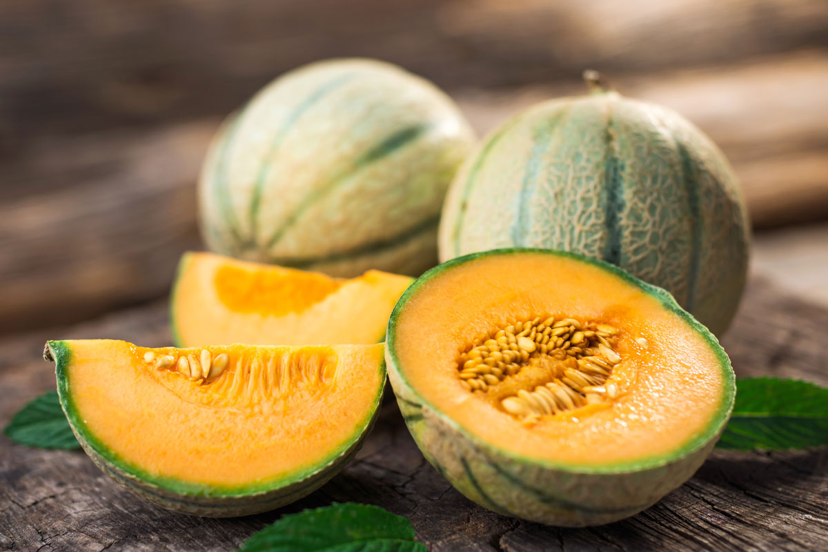 Voici comment choisir la meilleure variété de melon pour votre jardin