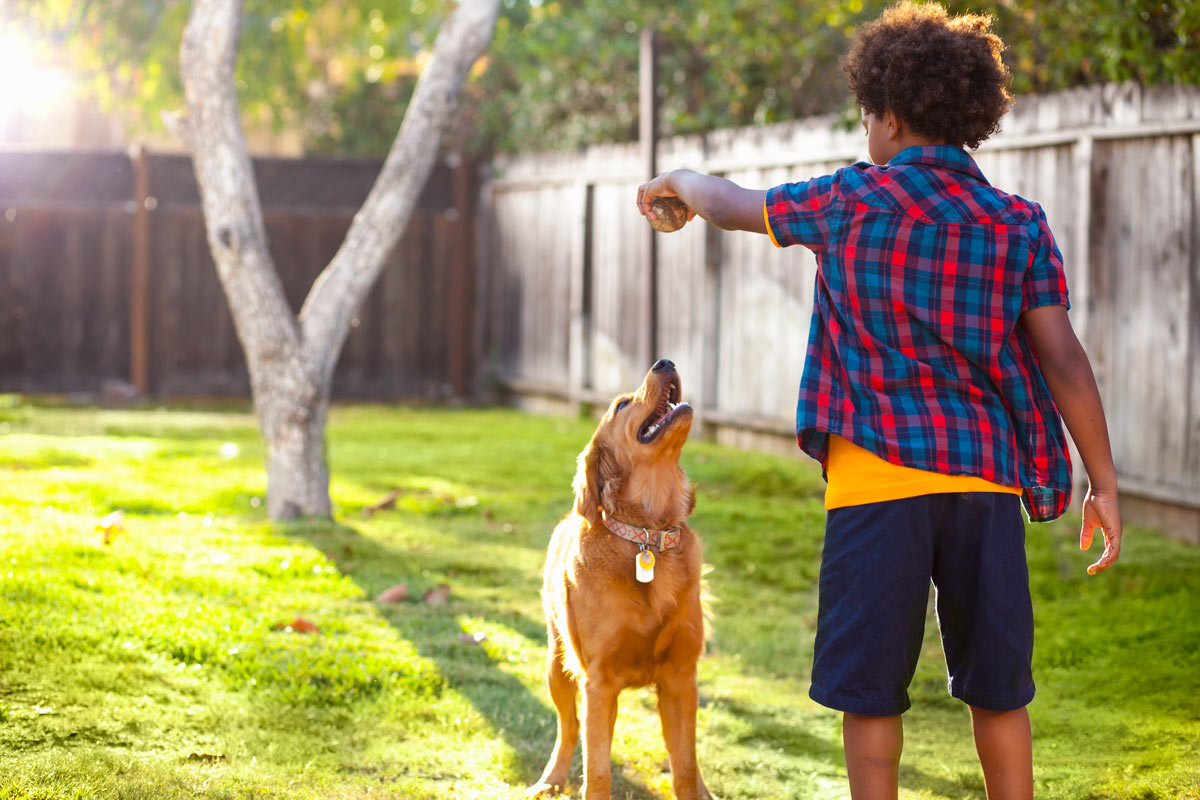 Manque d’eau et chaleur, comment protéger les animaux du jardin ?