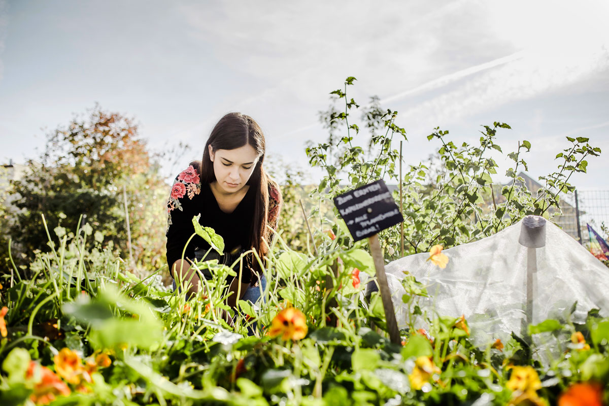 Quelles sont les grandes tendances du jardinage en 2023 ?