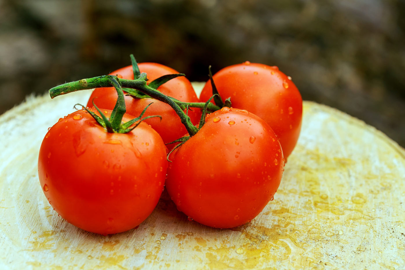 Nos astuces pratiques si vos plants de tomates n’ont pas de fleurs