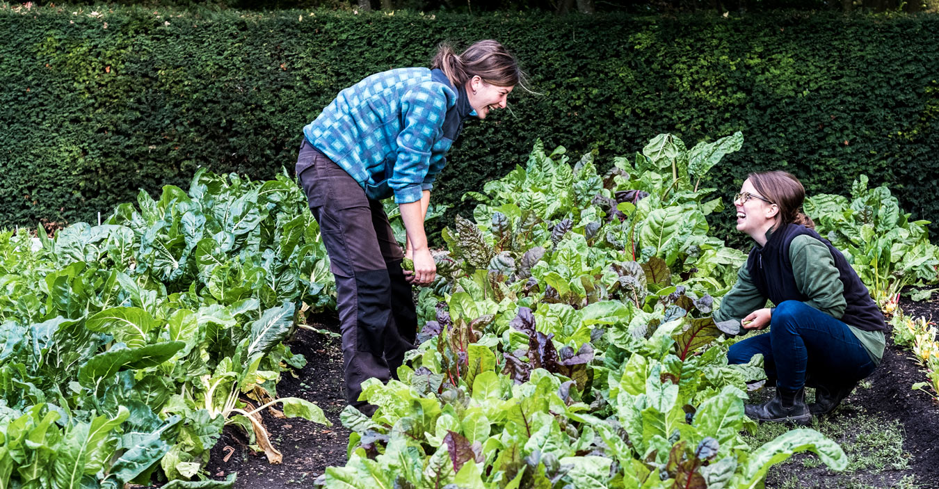 Créer un jardin agroécologique en biodynamie en 9 étapes simples