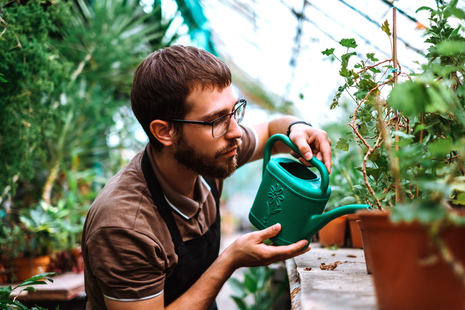 Transformez votre jardin sans effort : 5 astuces incontournables à connaitre