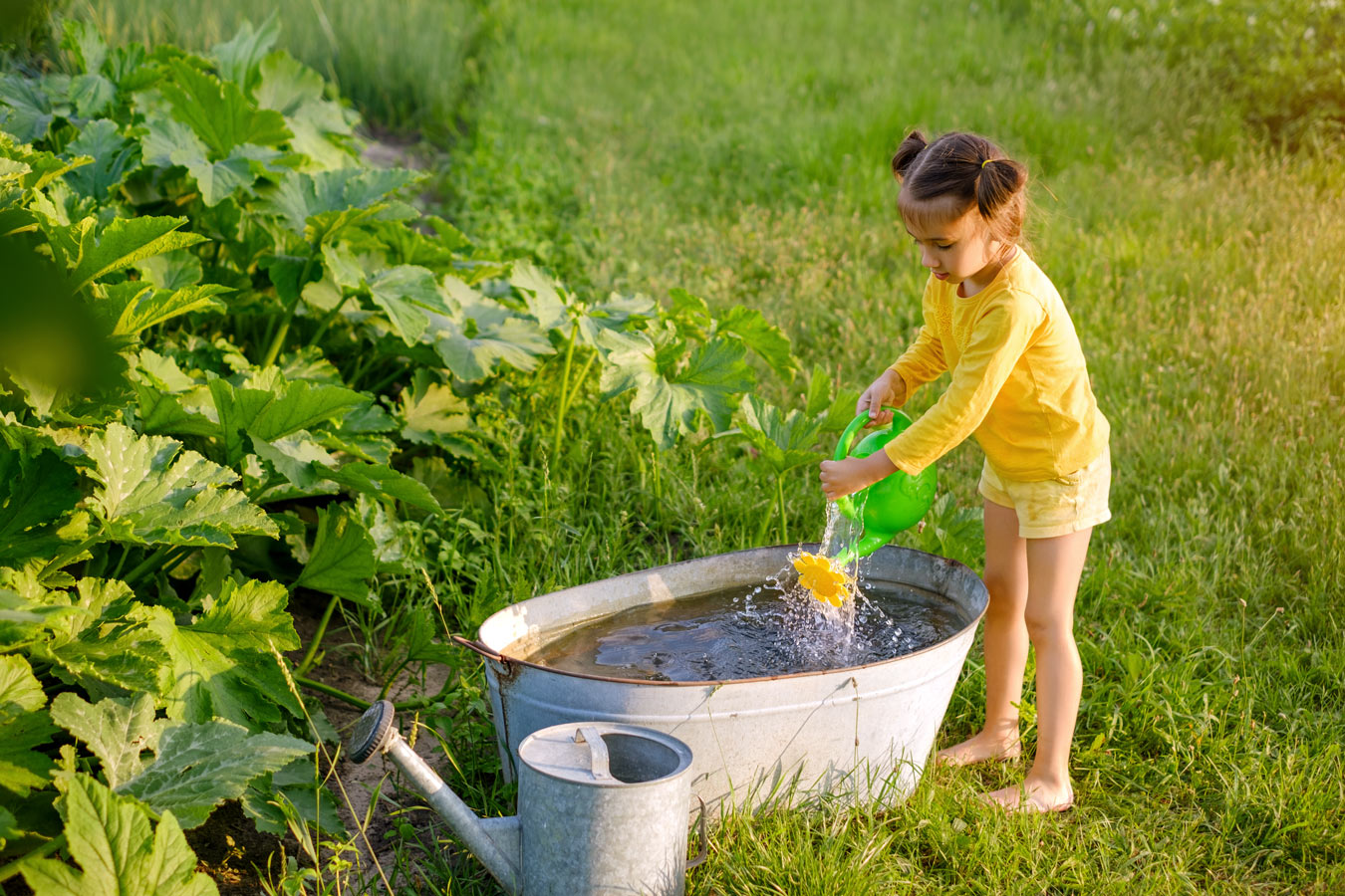 Fortes chaleurs à venir : les astuces infaillibles pour protéger votre jardin en juillet-août