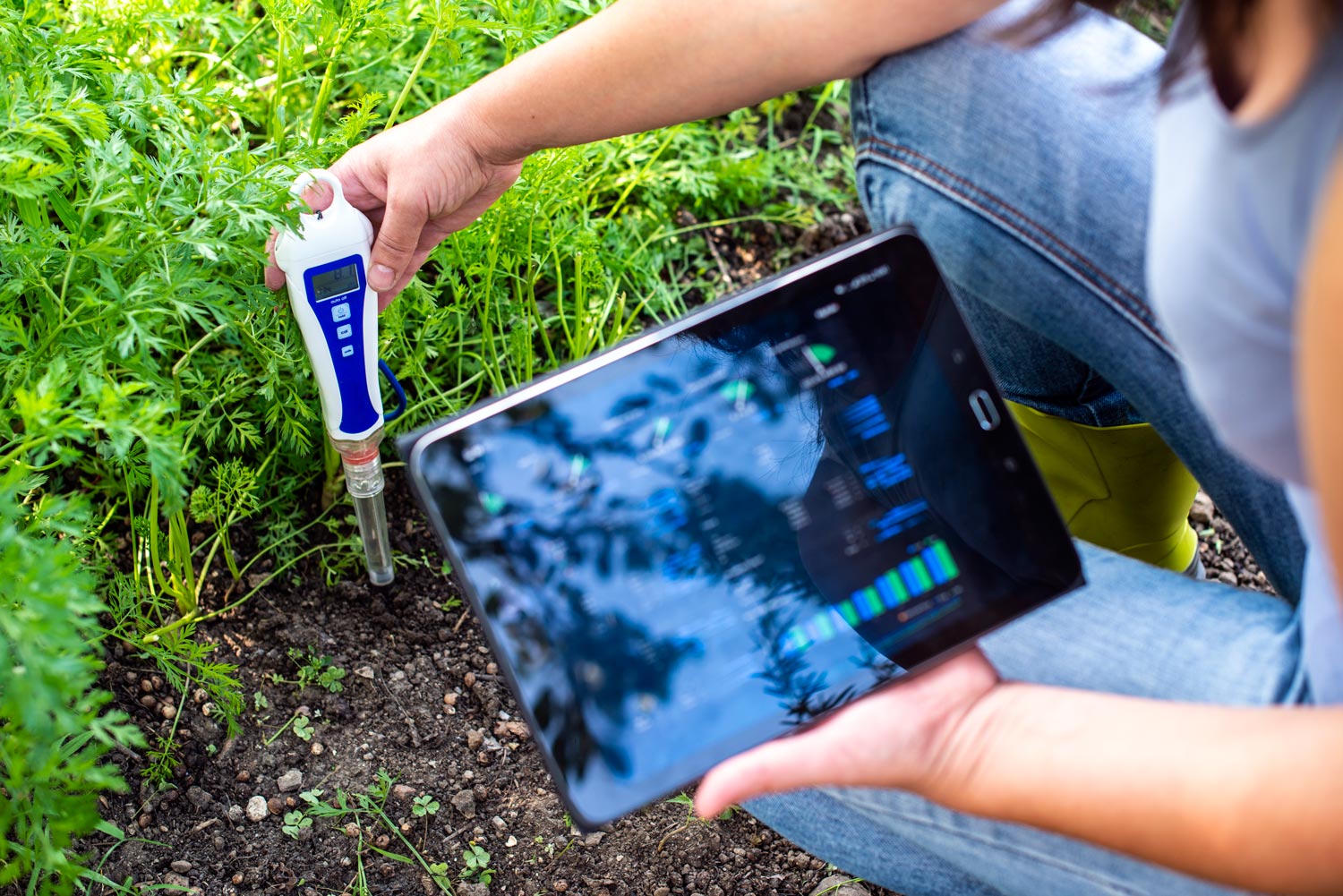 Les 5 meilleurs objets connectés pour avoir un jardin parfait cet été