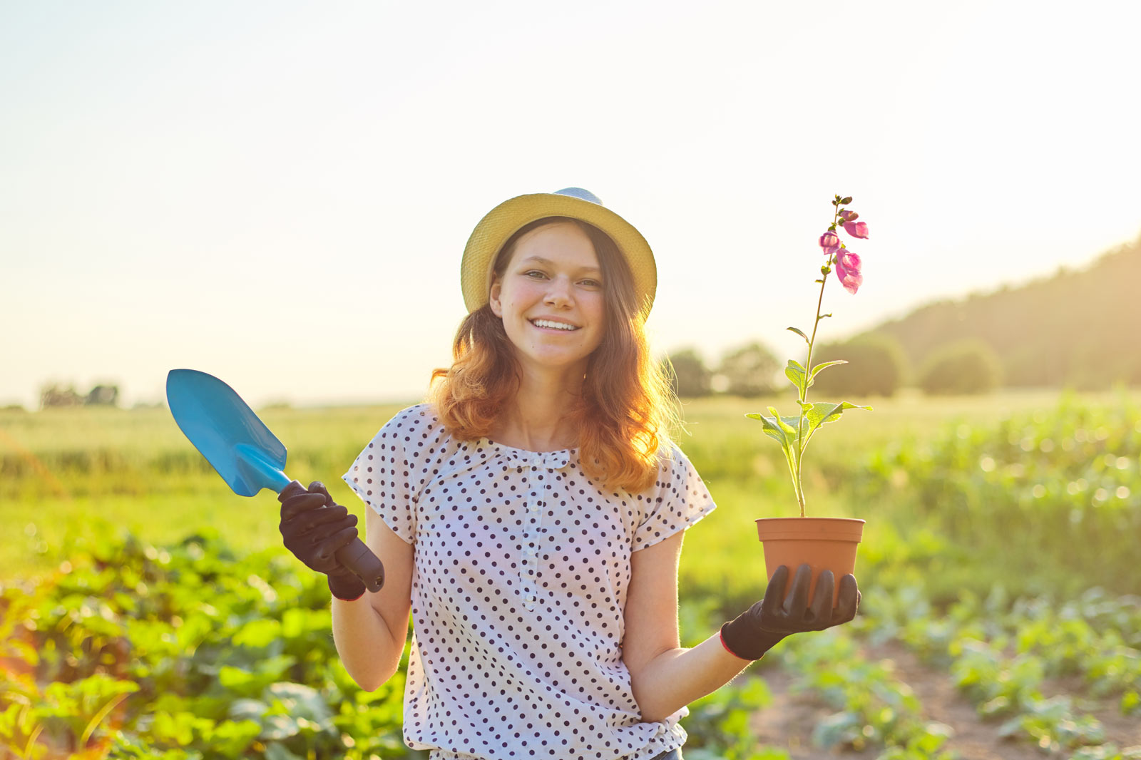 Déjouez la chaleur de l’été avec ces 15 fleurs à planter en juillet dans votre jardin