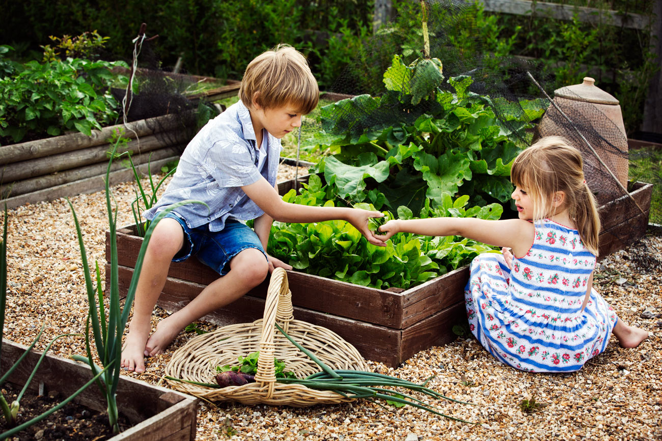 9 idées pour amuser vos enfants au potager en juillet – ils vont adorer la numéro 5