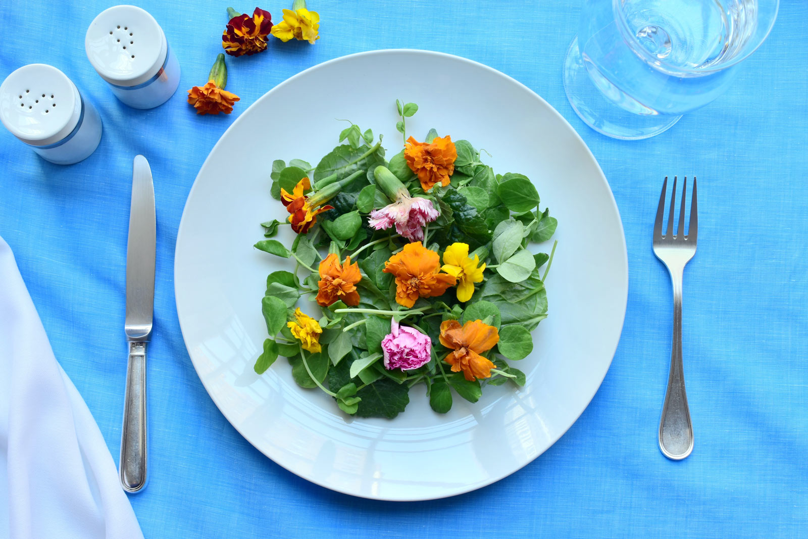 Épatez vos invités : cultivez et cuisinez 9 plantes comestibles du jardin