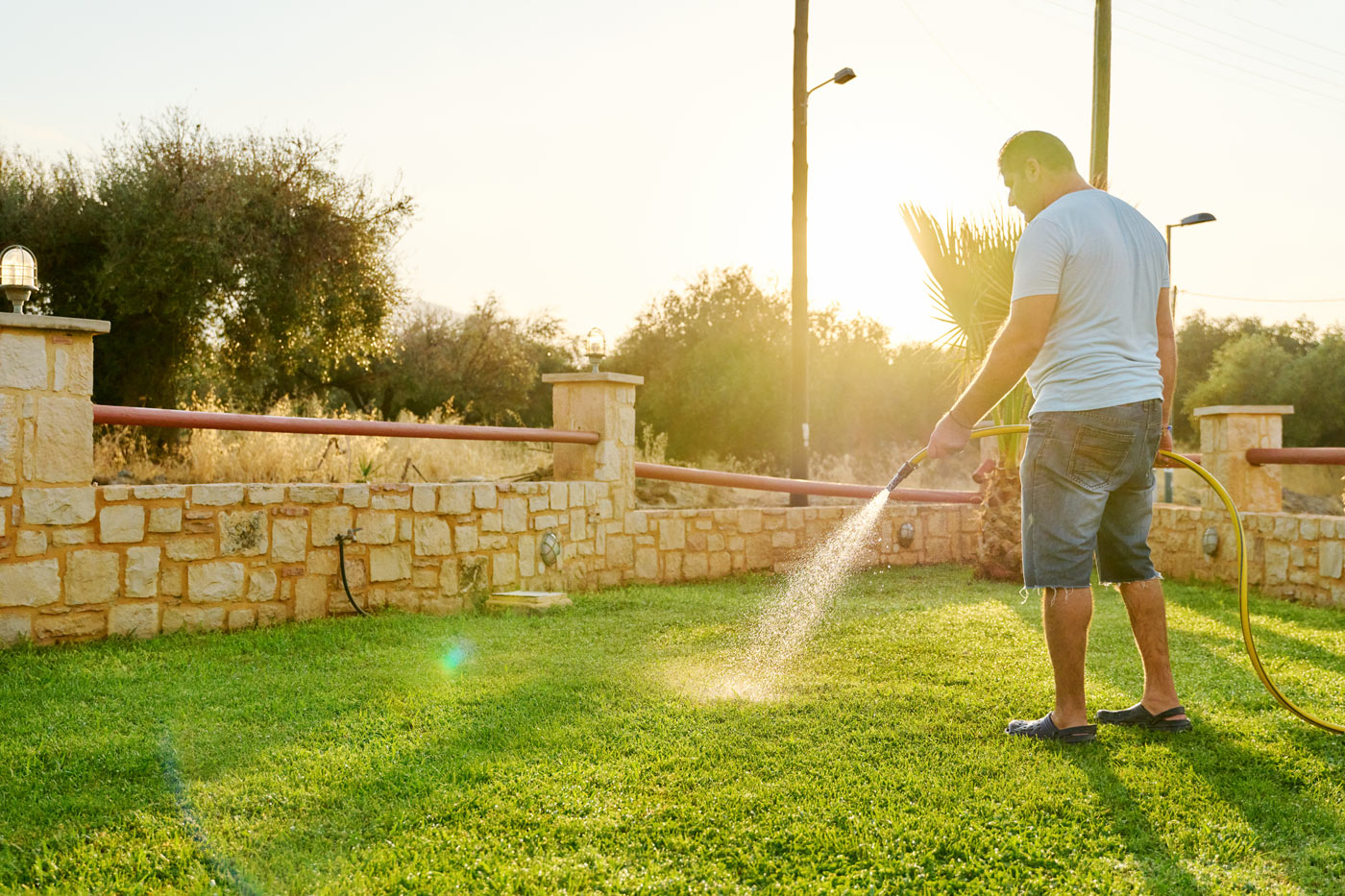 Remplacer votre gazon : 9 alternatives naturelles pour économiser l’eau