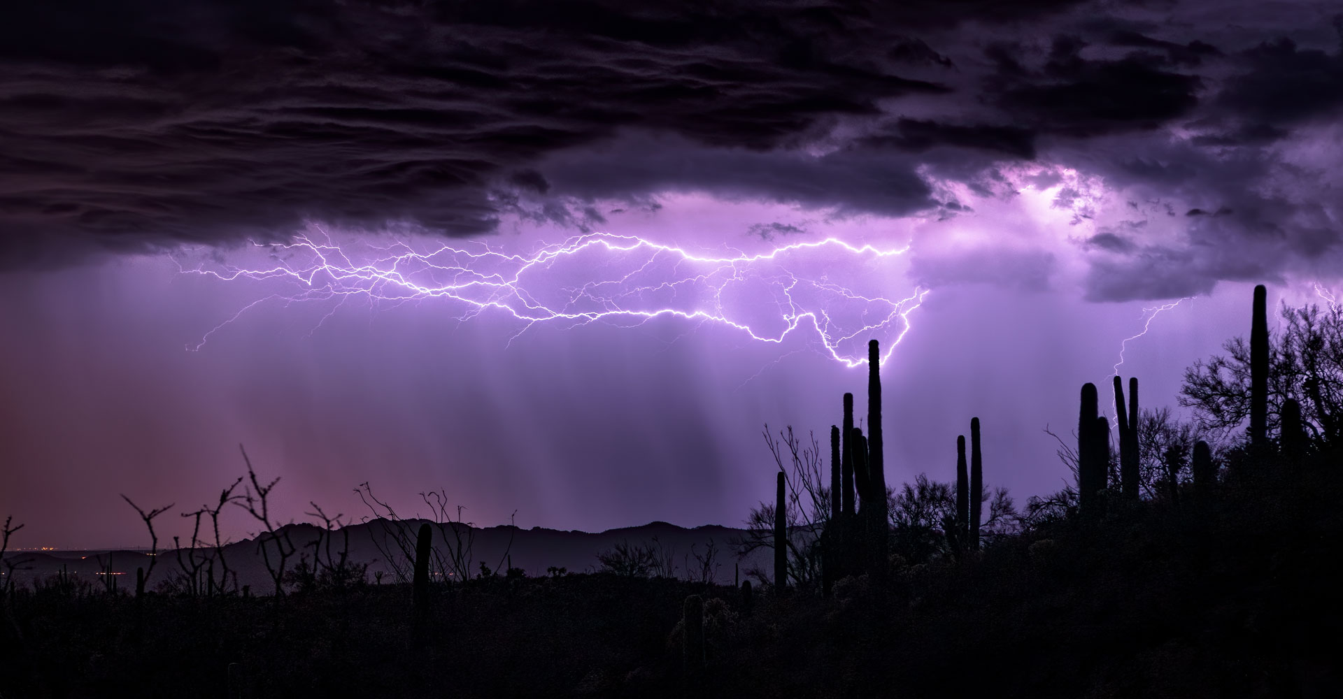 Orages d’été : découvrez comment protéger votre potager et vos récoltes