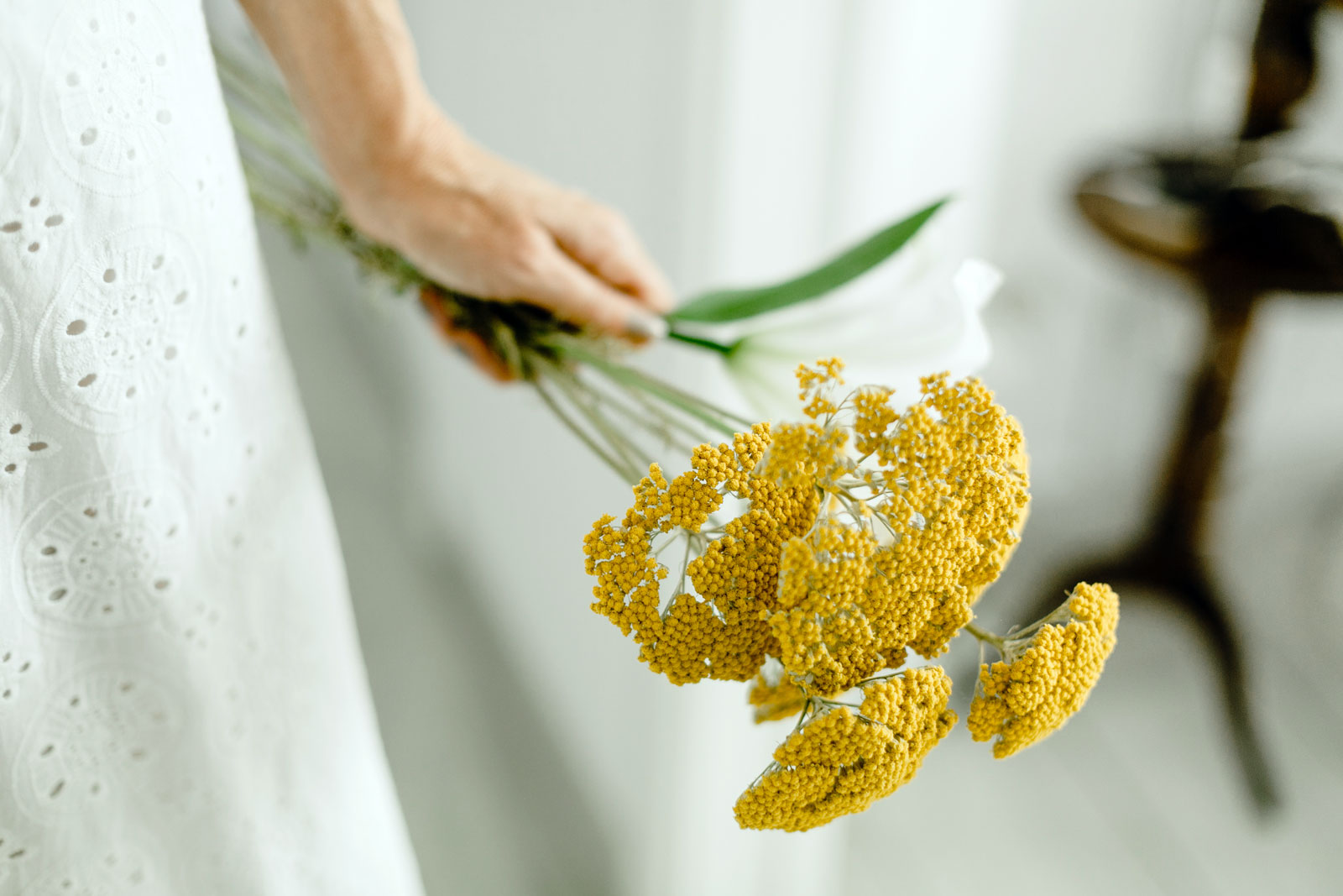 Les meilleures plantes anti-mouches et moucherons pour votre salle de bain