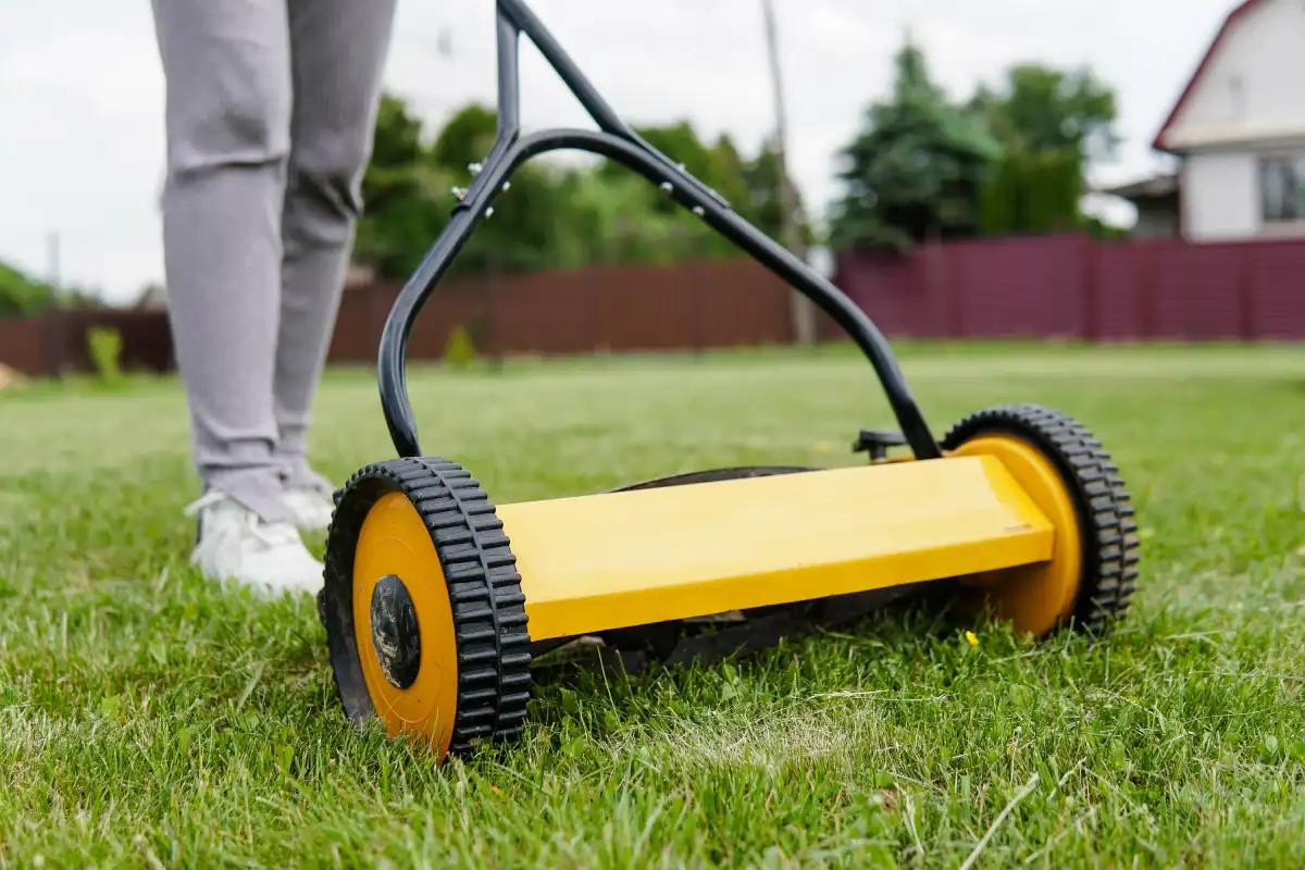 Et si une tondeuse à main était LA solution pour votre petit jardin ?