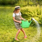 Survivre aux fortes chaleurs : découvrez comment arroser votre jardin