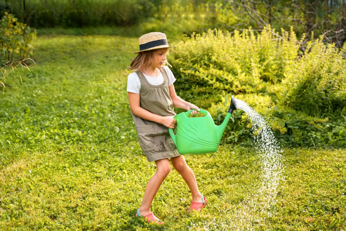 Survivre aux fortes chaleurs : découvrez comment arroser votre jardin