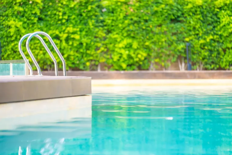 Découvrez comment traiter rapidement les algues au fond de votre piscine