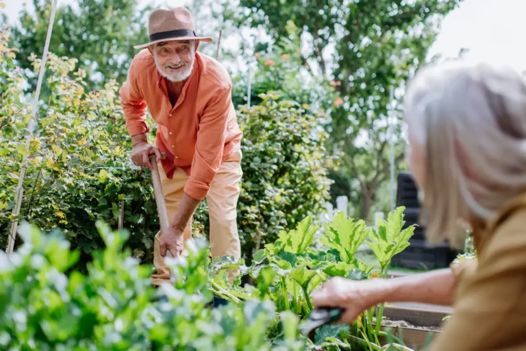 Préparez votre potager avant de partir en vacances cet été : nos conseils pratiques