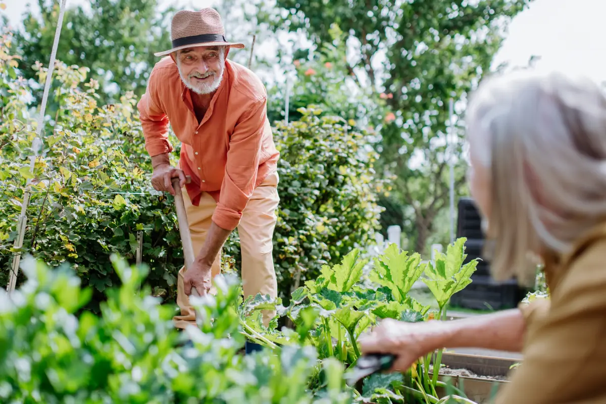 Préparez votre potager avant de partir en vacances cet été : nos conseils pratiques