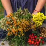 5 plantes médicinales idéales à planter en septembre pour préparer l'hiver