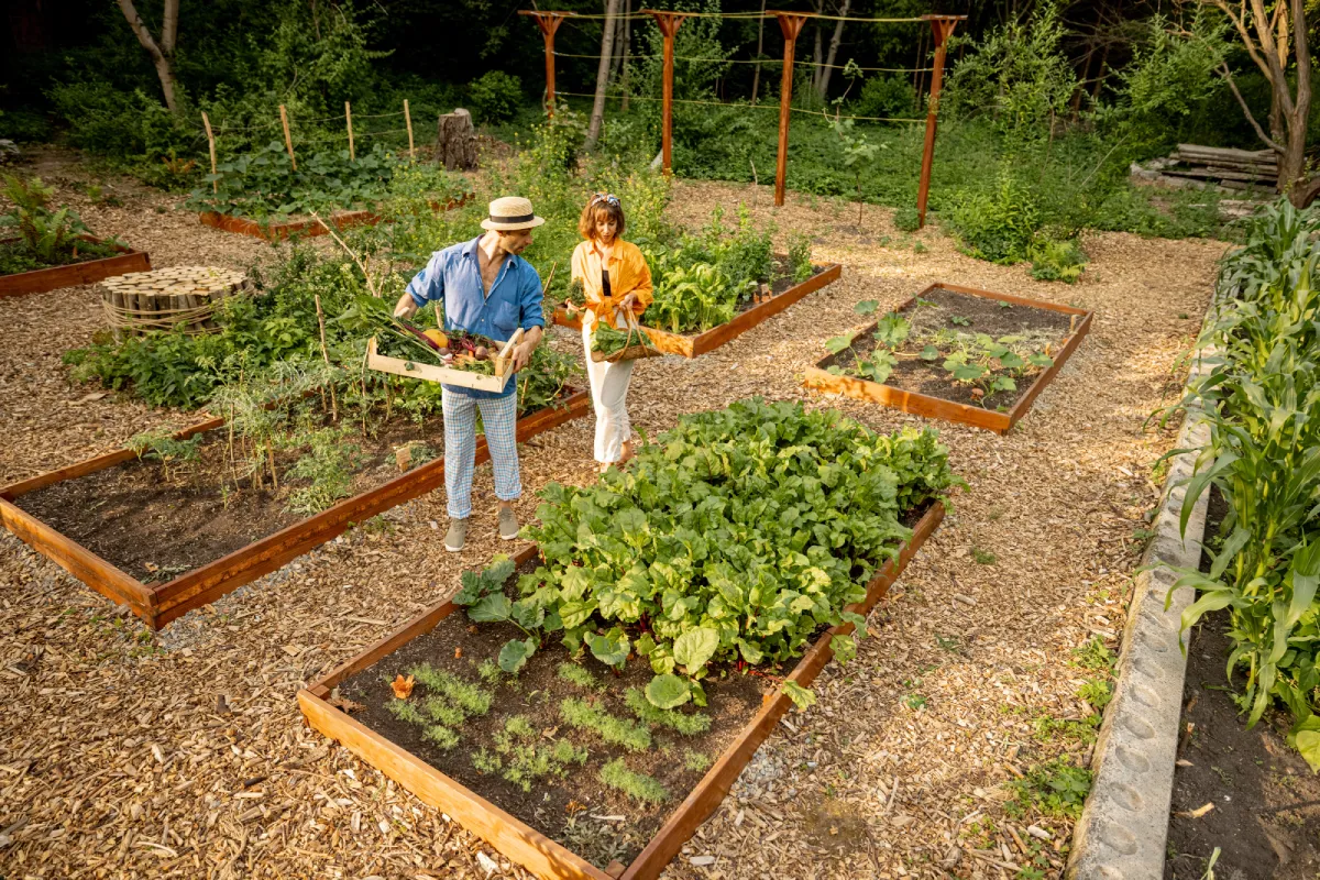 Quiz : découvrez les chiffres incroyables du jardin et du potager !