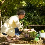 Pourquoi et comment commencer un compost cet automne ?