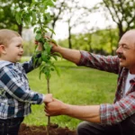 Les 7 meilleurs arbres fruitiers à planter à l'automne pour un verger productif