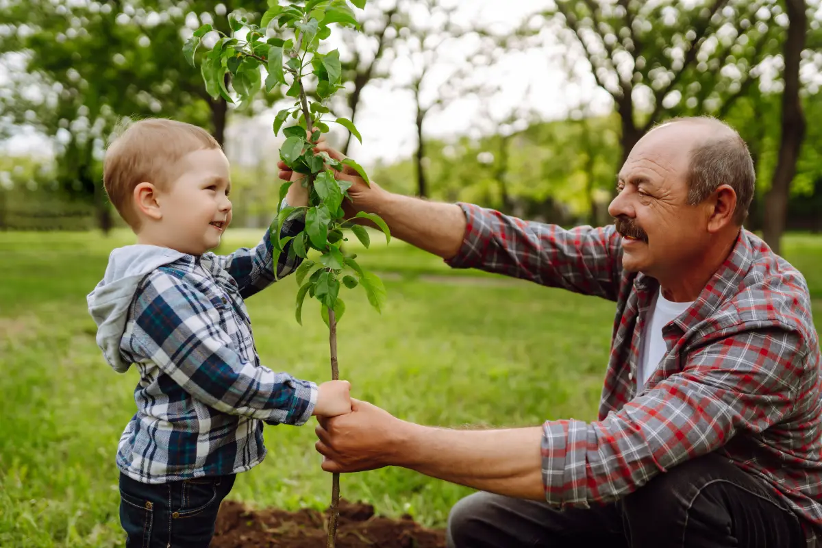 Les 7 meilleurs arbres fruitiers à planter à l'automne pour un verger productif