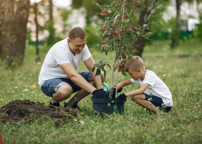 Quels fruits planter en octobre dans votre jardin ?