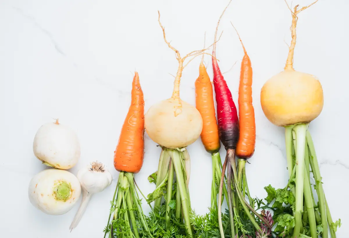 Récoltez vos légumes racines : les meilleures astuces pour les conserver tout l’hiver