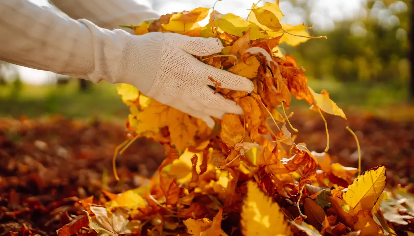 Préparez votre jardin pour l’automne : 10 tâches essentielles fin septembre