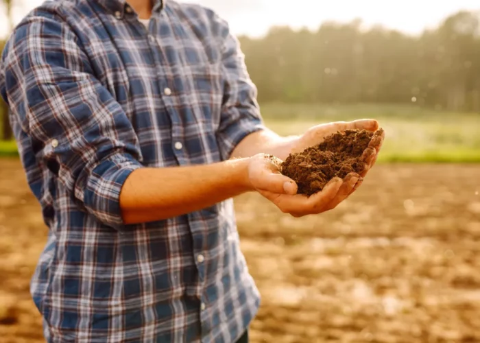 Les secrets d’un compost réussi : boostez la croissance de vos plantes naturellement