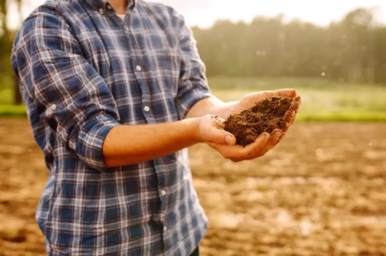 Les secrets d'un compost réussi pour des plantes en pleine forme